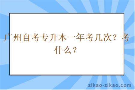 广州自考专升本一年考几次？考什么？