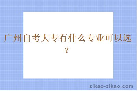 广州自考大专有什么专业可以选？