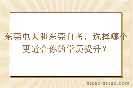 东莞电大和东莞自考，选择哪个更适合你的学历提升？