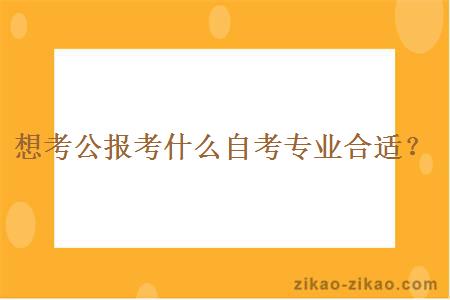 想考公报考什么自考专业合适？