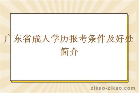 广东省成人学历报考条件及好处简介