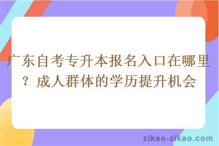 广东自考专升本报名入口在哪里？成人群体的学历提升机会