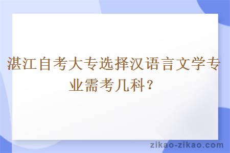 湛江自考大专选择汉语言文学专业需考几科？