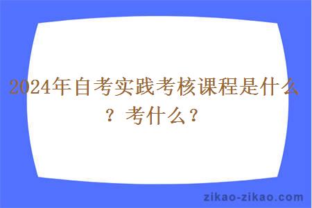 2024年自考实践考核课程是什么？考什么？