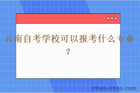 云南自考学校可以报考什么专业？