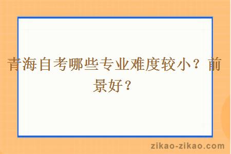 青海自考哪些专业难度较小？前景好？