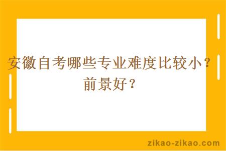 安徽自考哪些专业难度比较小？前景好？