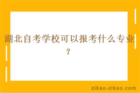 湖北自考学校可以报考什么专业？