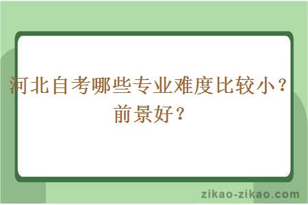 河北自考哪些专业难度比较小？前景好？