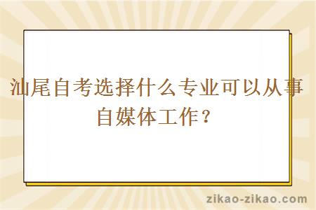 汕尾自考选择什么专业可以从事自媒体工作？