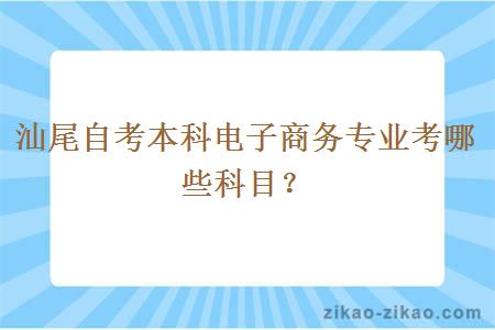 汕尾自考本科电子商务专业考哪些科目？