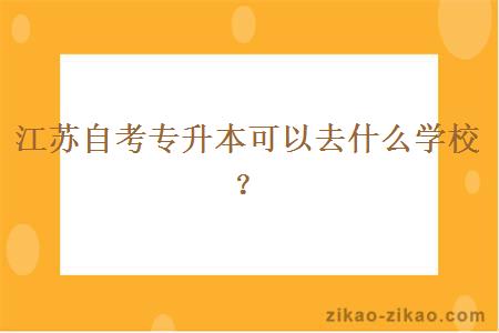 江苏自考专升本可以去什么学校？