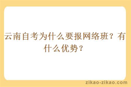 云南自考为什么要报网络班？有什么优势？