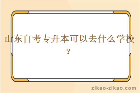 山东自考专升本可以去什么学校？