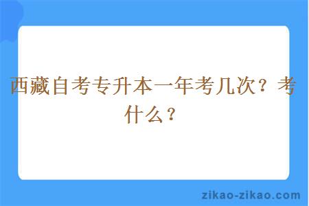 西藏自考专升本一年考几次？考什么？