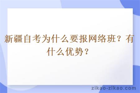 新疆自考为什么要报网络班？有什么优势？