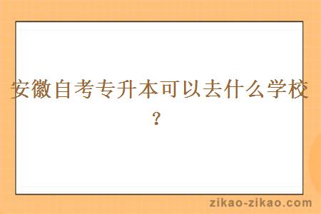 安徽自考专升本可以去什么学校？