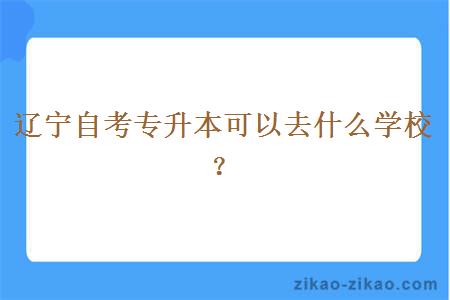 辽宁自考专升本可以去什么学校？