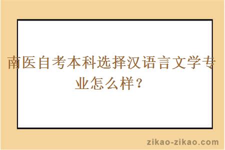 南医自考本科选择汉语言文学专业怎么样？