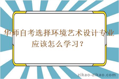 华师自考选择环境艺术设计专业应该怎么学习？