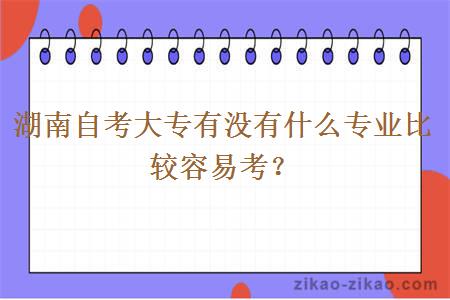 湖南自考大专有没有什么专业比较容易考？