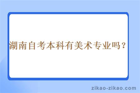 湖南自考本科有美术专业吗？