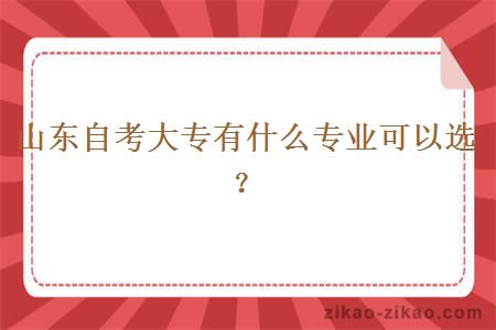 山东自考大专有什么专业可以选？