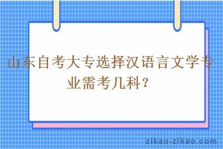 山东自考大专选择汉语言文学专业需考几科？