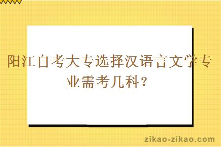 阳江自考大专选择汉语言文学专业需考几科？