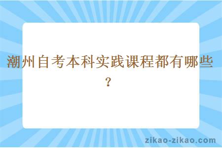 潮州自考本科实践课程都有哪些？