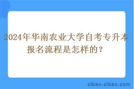 2024年华南农业大学自考专升本报名流程是怎样的