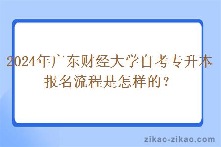 2024年广东财经大学自考专升本报名流程是怎样的？