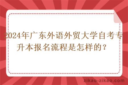 2024年广东外语外贸大学自考专升本报名流程是怎样的？