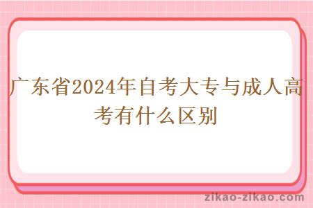 广东省2024年自考大专与成人高考有什么区别