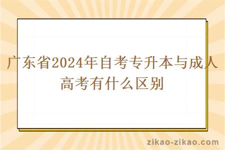 广东省2024年自考专升本与成人高考有什么区别