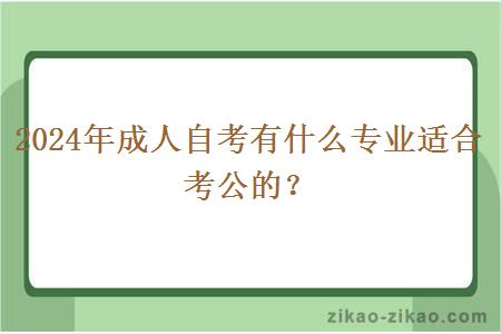 2024年成人自考有什么专业适合考公的？