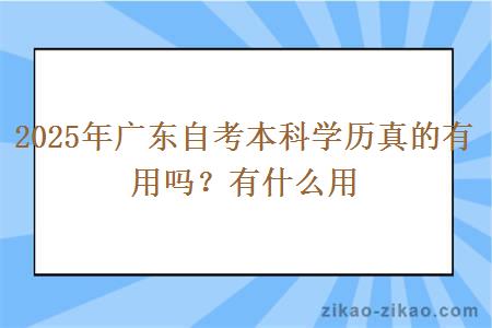 2025年广东自考本科学历真的有用吗？有什么用