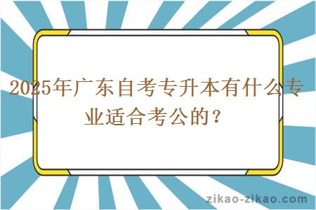 2025年广东自考专升本有什么专业适合考公的？