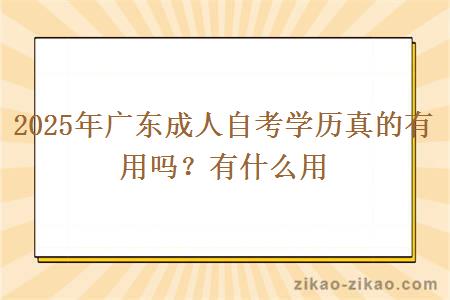 2025年广东成人自考学历真的有用吗？有什么用